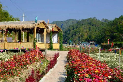 省級示范,高要這2個地方上榜