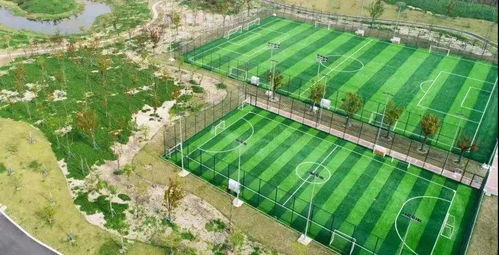 上海的各大足球場