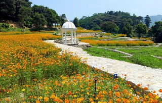 惠州龍門南昆山溫泉大觀園介紹 樂程網