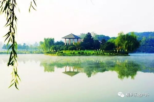 送土雞9月19號周二 靈谷冬,龍背山,華東百暢生態園,包門票,包中餐,包無購物,再送鮮活土雞 旅游 網