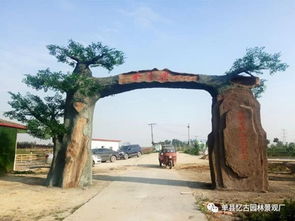 九龍?zhí)渡鷳B(tài)園大門(mén)設(shè)計(jì)制作——融合自然與人文的藝術(shù)表達(dá)