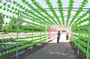 九龍潭生態園 綠水青山間的振興之路，讓貧困戶成為旅游產業的最大受益者