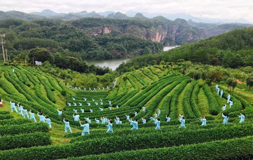 浴境元康養之氣，九龍潭生態園祝您端午安康